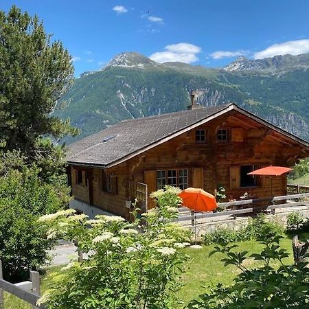 Chalet Albarose - Vercorin Extérieur photo