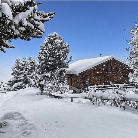 Chalet Albarose - Vercorin Extérieur photo