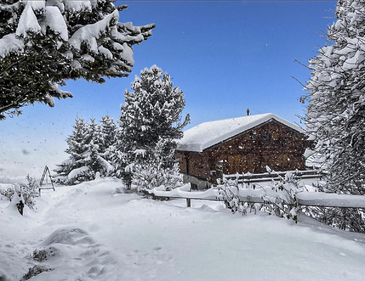 Chalet Albarose - Vercorin Extérieur photo